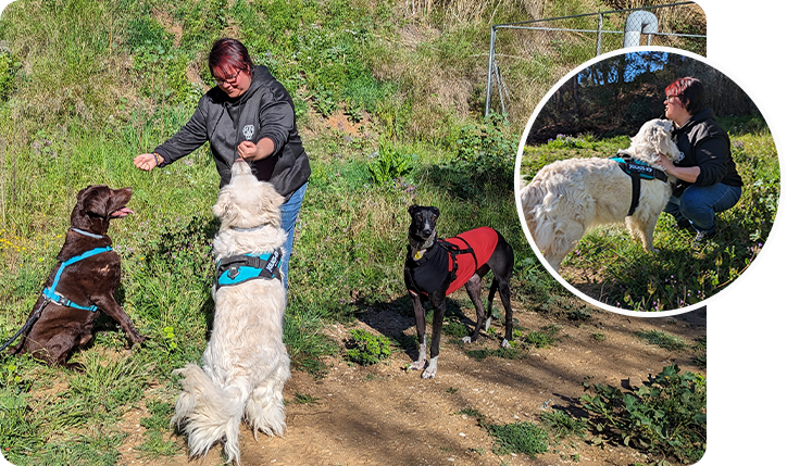 Foto de Marta con los perros