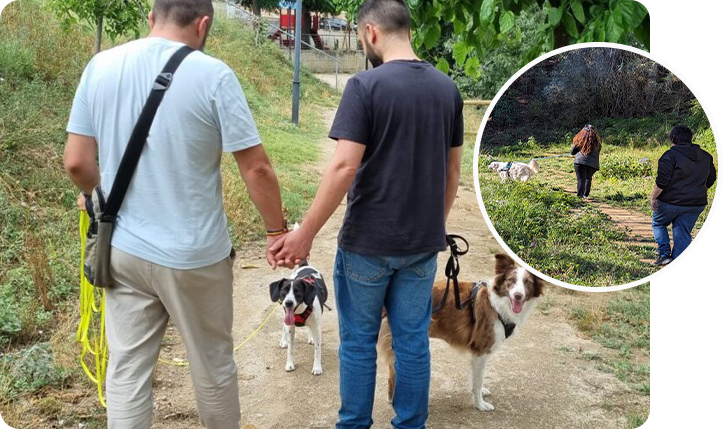 Montaje de perros y sus dueños